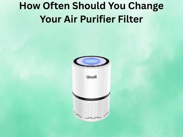 How Often Should You Change Your Air Purifier Filter