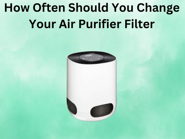 How Often Should You Change Your Air Purifier Filter