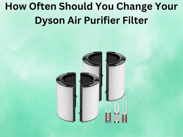 How Often Should You Change Your Dyson Air Purifier Filter