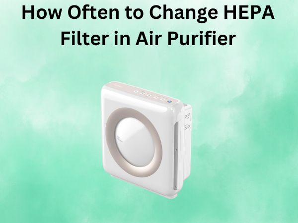 How Often to Change HEPA Filter in Air Purifier