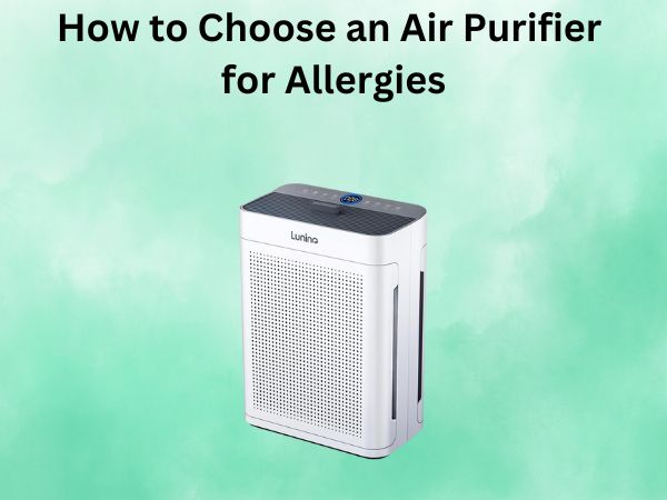 How to Choose an Air Purifier for Allergies