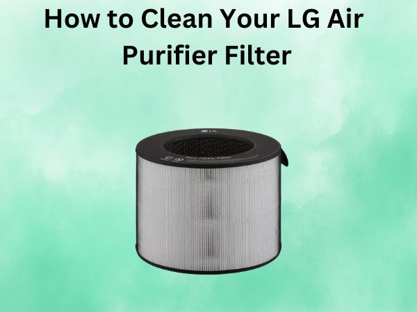 How to Clean Your LG Air Purifier Filter