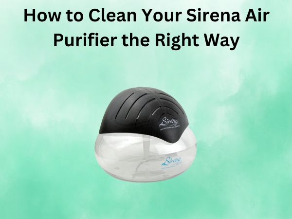 How to Clean Your Sirena Air Purifier the Right Way