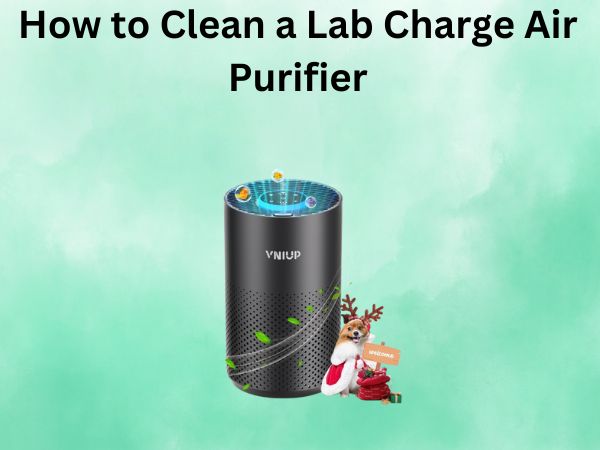 How to Clean a Lab Charge Air Purifier