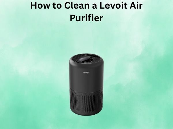 How to Clean a Levoit Air Purifier