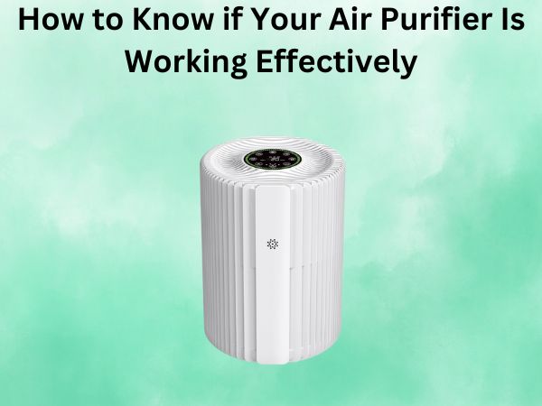 How to Know if Your Air Purifier Is Working Effectively