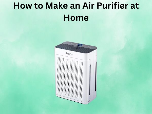 How to Make an Air Purifier at Home