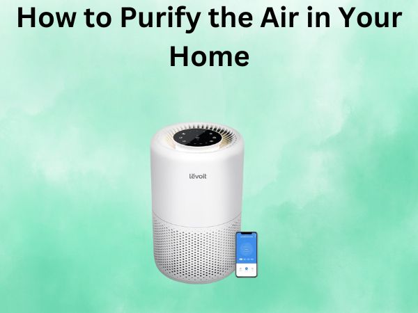 How to Purify the Air in Your Home