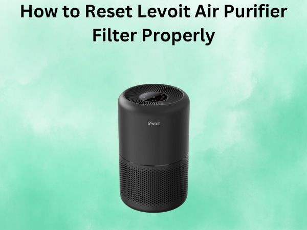 How to Reset Levoit Air Purifier Filter Properly