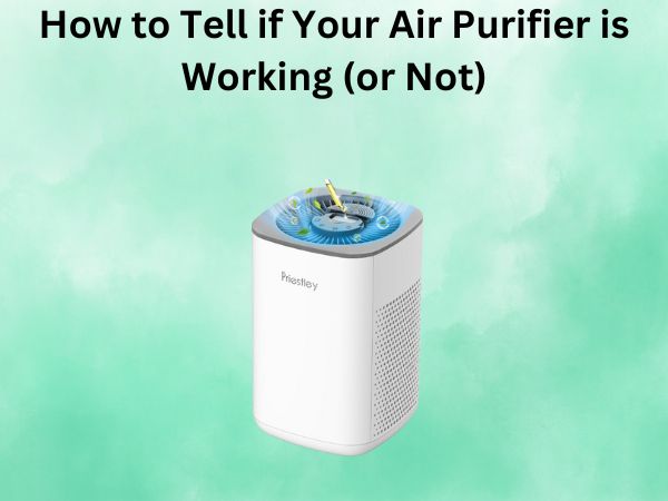 How to Tell if Your Air Purifier is Working (or Not)
