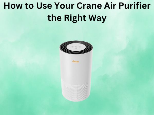 How to Use Your Crane Air Purifier the Right Way