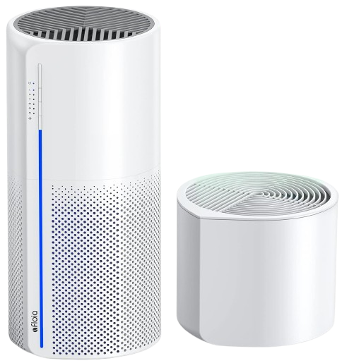 Best Air Purifier for Smoking Inside