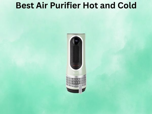 Best Air Purifier Hot and Cold