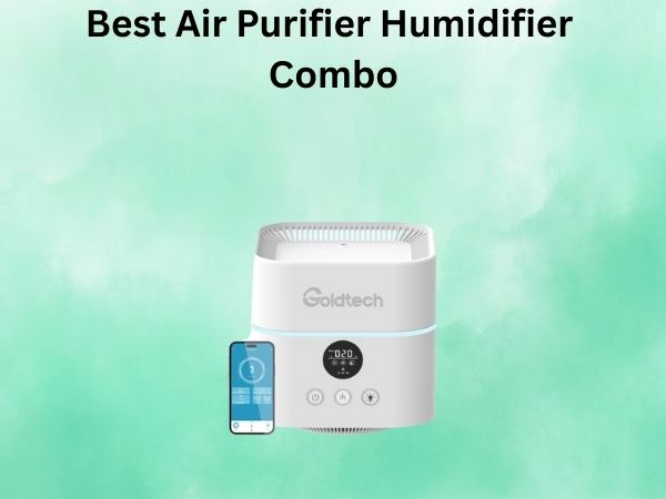 Best Air Purifier Humidifier Combo