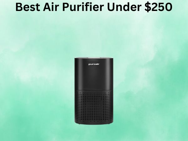 Best Air Purifier Under $250