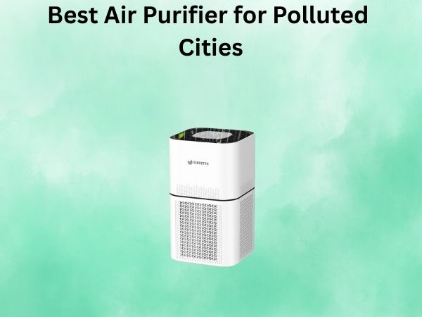 Best Air Purifier for Polluted Cities