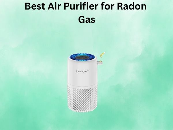 Best Air Purifier for Radon Gas