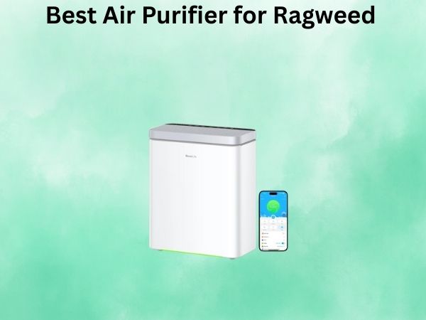 Best Air Purifier for Ragweed