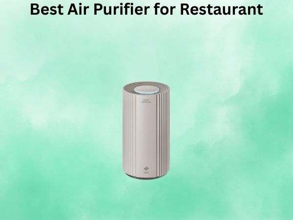 Best Air Purifier for Restaurant