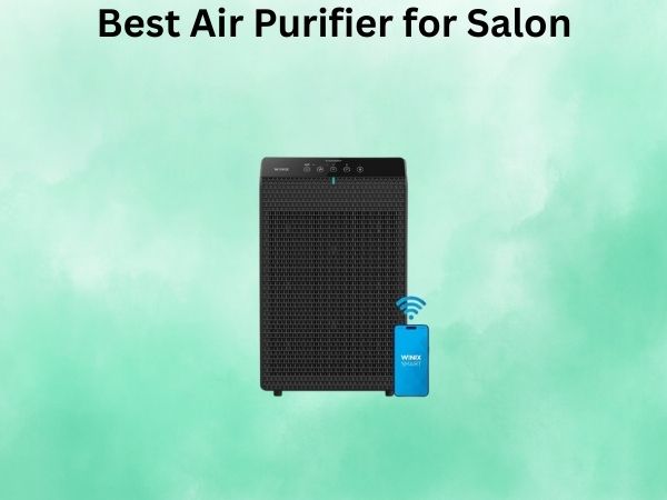 Best Air Purifier for Salon