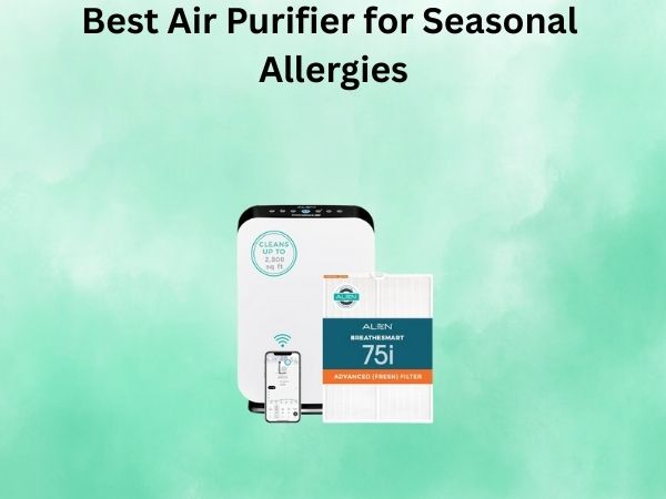 Best Air Purifier for Seasonal Allergies