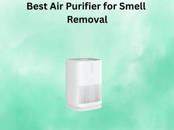 Best Air Purifier for Smell Removal