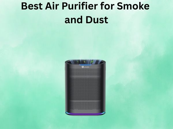 Best Air Purifier for Smoke and Dust