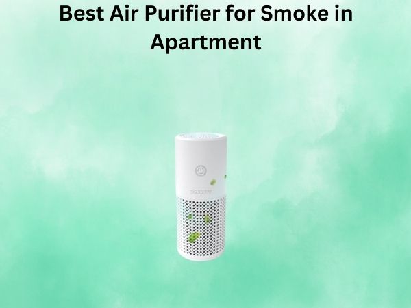 Best Air Purifier for Smoke in Apartment