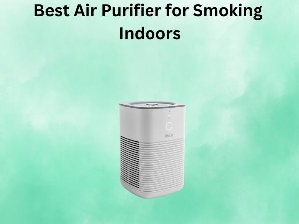Best Air Purifier for Smoking Indoors