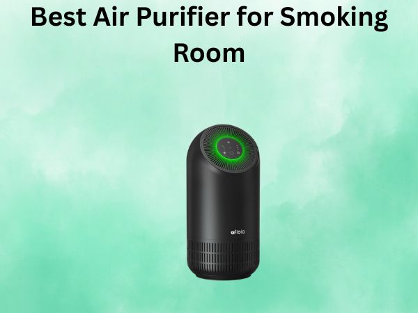 Best Air Purifier for Smoking Room