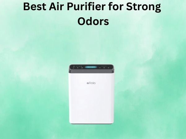 Best Air Purifier for Strong Odors