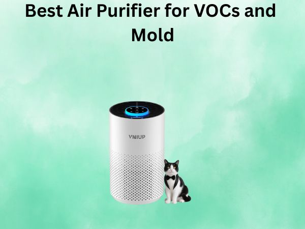Best Air Purifier for VOCs and Mold