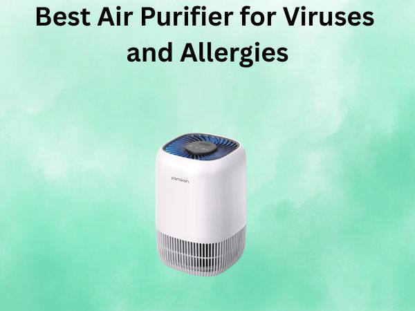 Best Air Purifier for Viruses and Allergies
