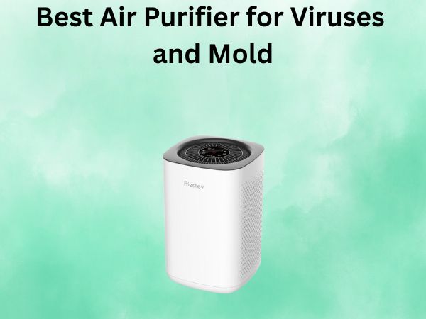 Best Air Purifier for Viruses and Mold