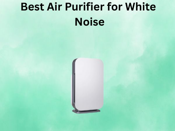 Best Air Purifier for White Noise