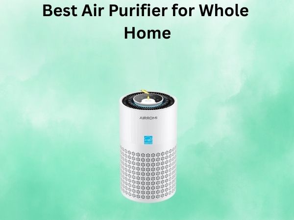 Best Air Purifier for Whole Home
