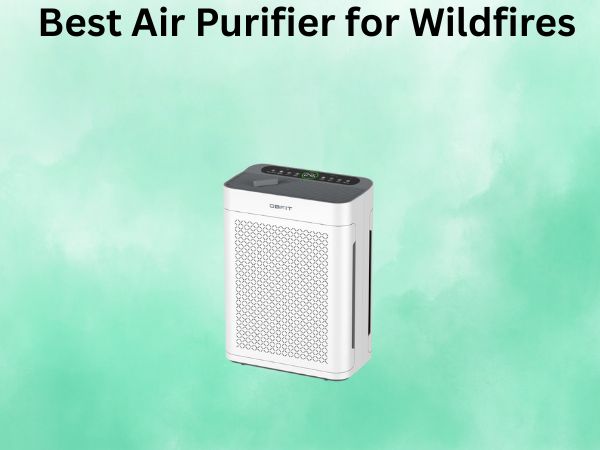 Best Air Purifier for Wildfires