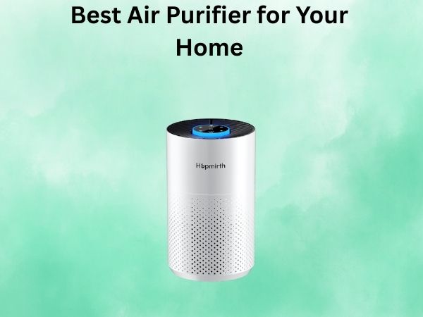 Best Air Purifier for Your Home