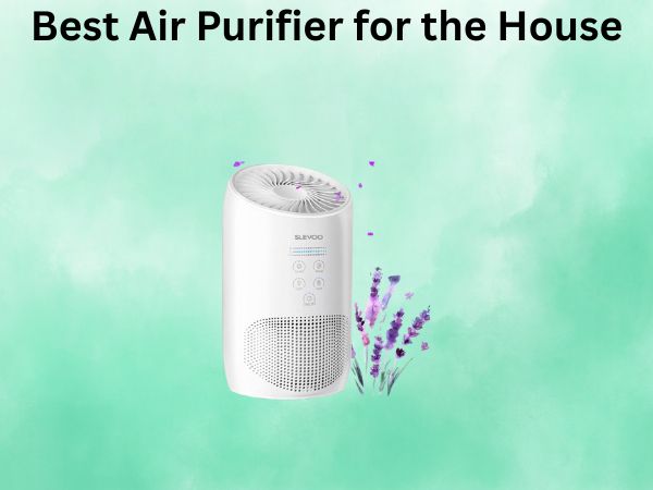 Best Air Purifier for the House