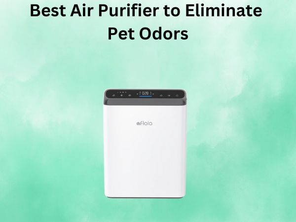 Best Air Purifier to Eliminate Pet Odors