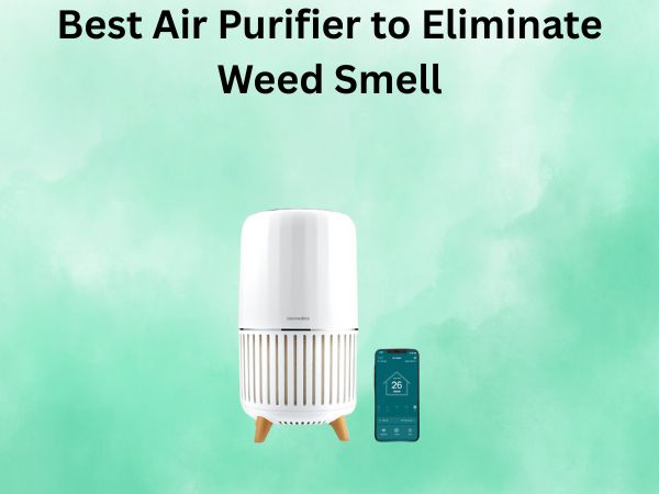 Best Air Purifier to Eliminate Weed Smell