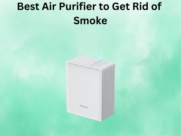 Best Air Purifier to Get Rid of Smoke
