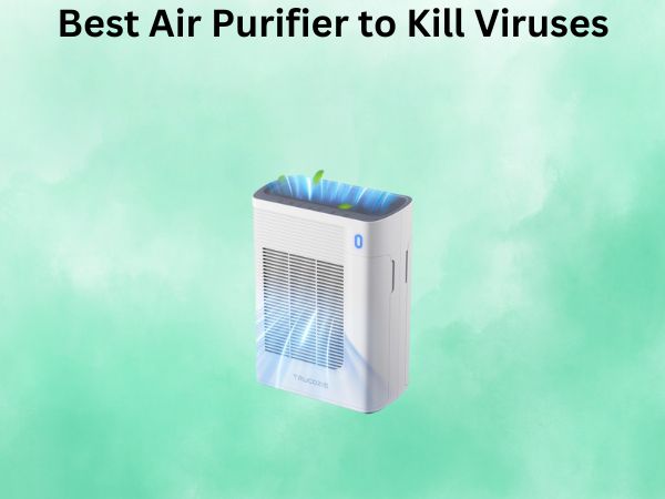 Best Air Purifier to Kill Viruses