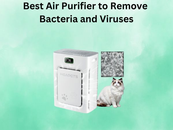 Best Air Purifier to Remove Bacteria and Viruses