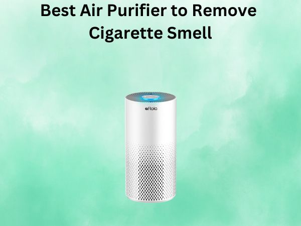 Best Air Purifier to Remove Cigarette Smell
