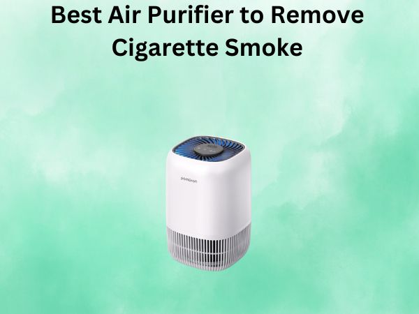 Best Air Purifier to Remove Cigarette Smoke