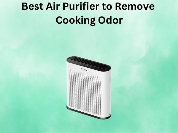 Best Air Purifier to Remove Cooking Odor