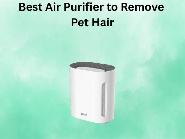 Best Air Purifier to Remove Pet Hair