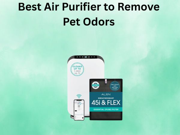 Best Air Purifier to Remove Pet Odors