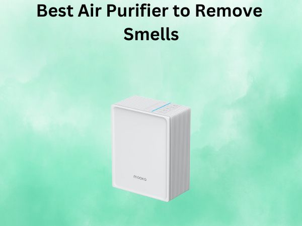 Best Air Purifier to Remove Smells